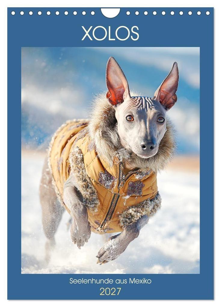 Xolos. Seelenhunde aus Mexiko (Wandkalender 2027 DIN A4 hoch) CALVENDO Monatskalender
