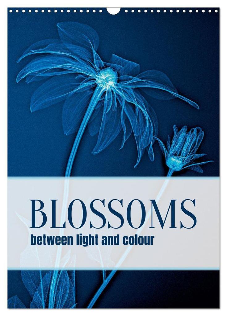 Blossoms between light and colour (Wall Calendar 2027 DIN A3 portrait) CALVENDO 12 Month Wall Calendar