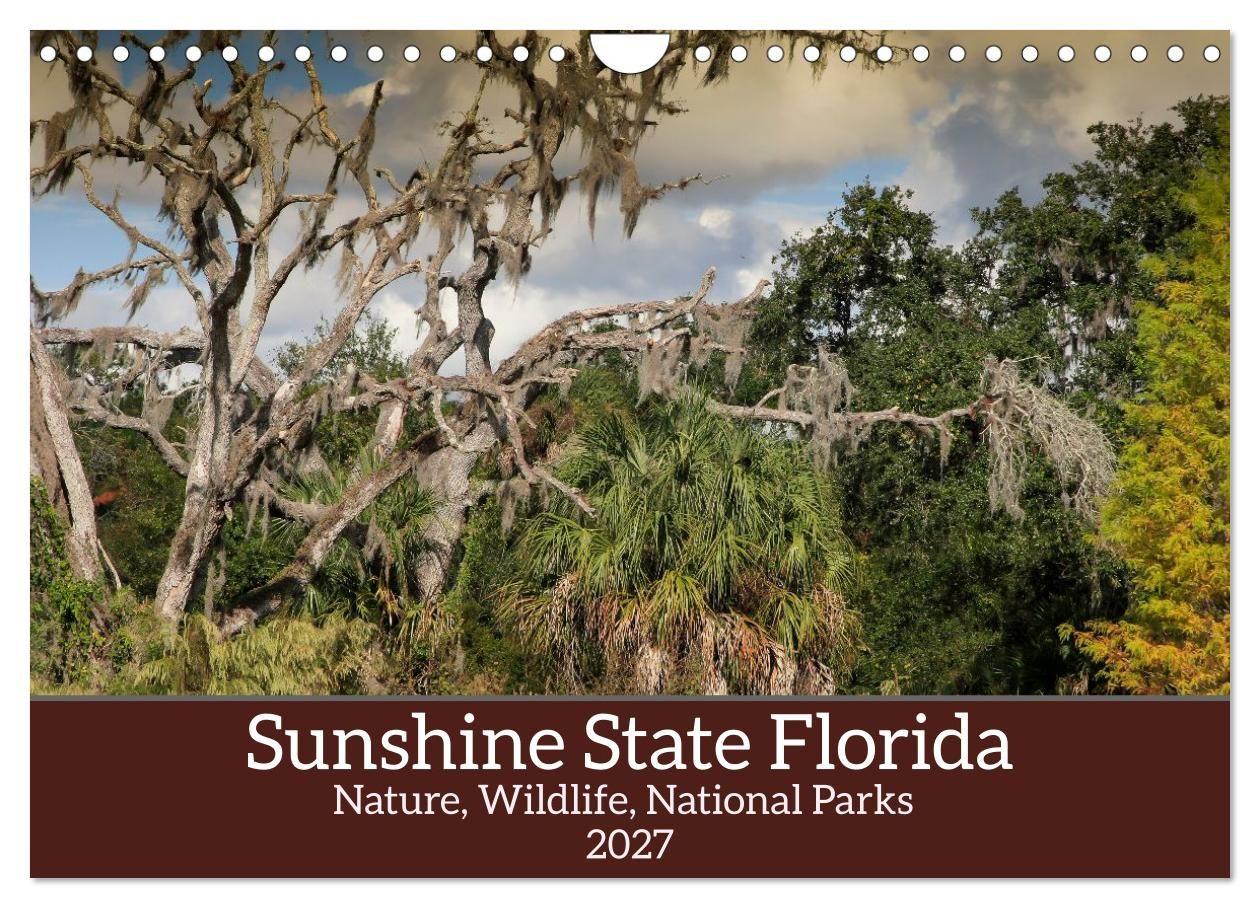 Sunshine State Florida Nature Wildlife National Parks (Wall Calendar 2027 DIN A4 landscape) CALVENDO 12 Month Wall Calendar