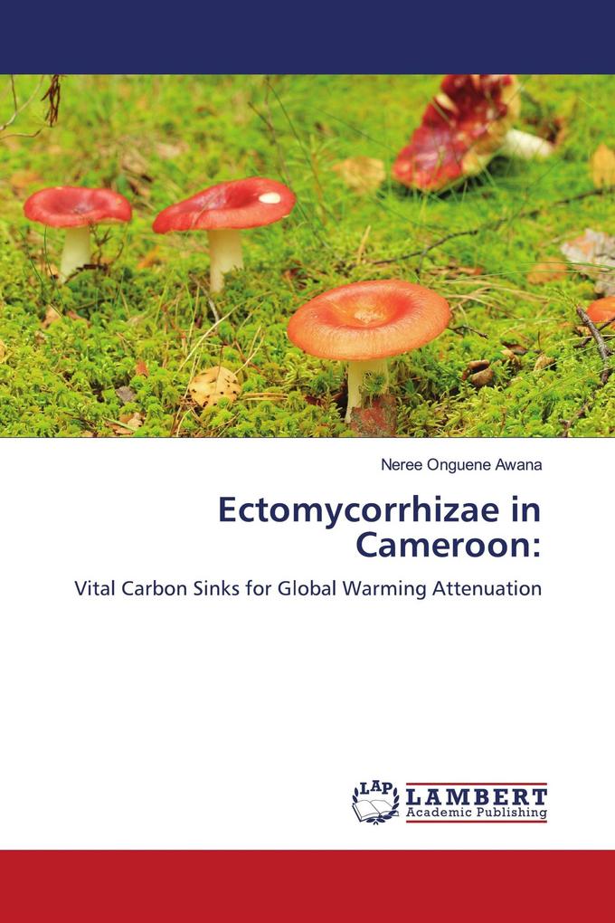 Ectomycorrhizae in Cameroon: