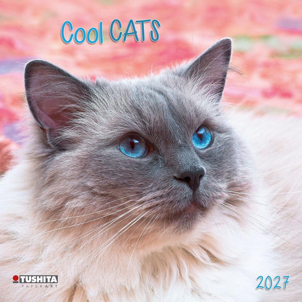 Cool Cats 2027