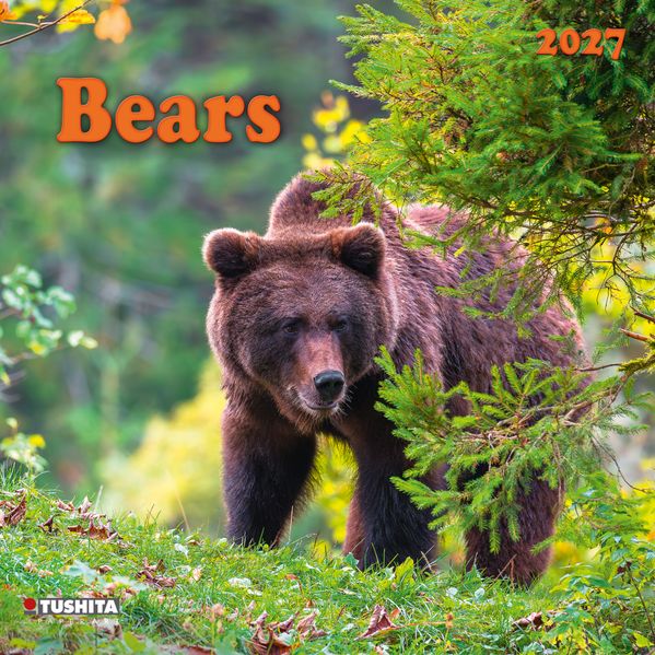 Bears 2027