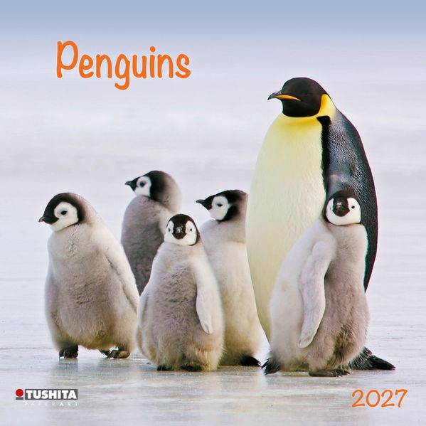 Penguins 2027