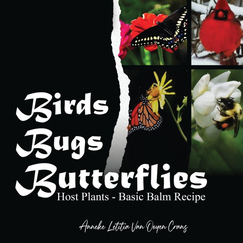 Birds Bugs Butterflies