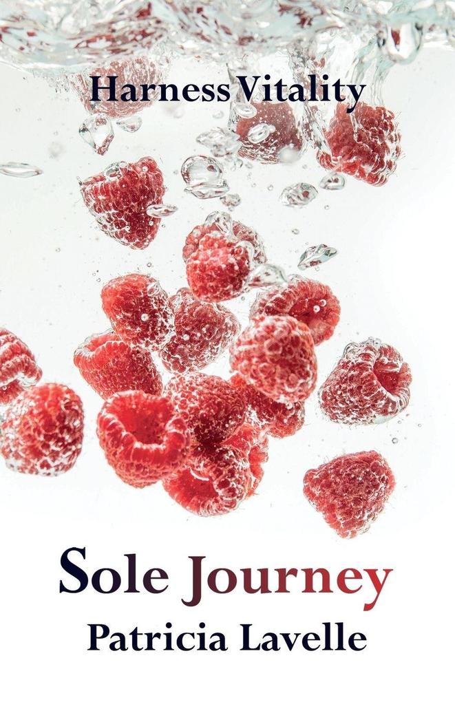 Sole Journey
