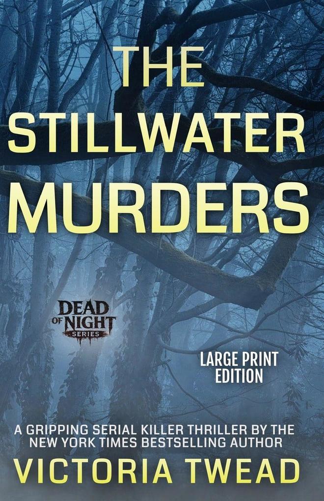 The Stillwater Murders (LARGE PRINT)