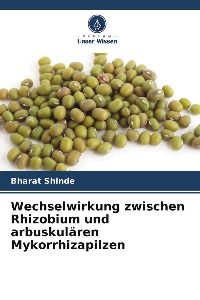 Wechselwirkung zwischen Rhizobium und arbuskulären Mykorrhizapilzen