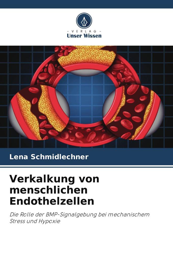Verkalkung von menschlichen Endothelzellen