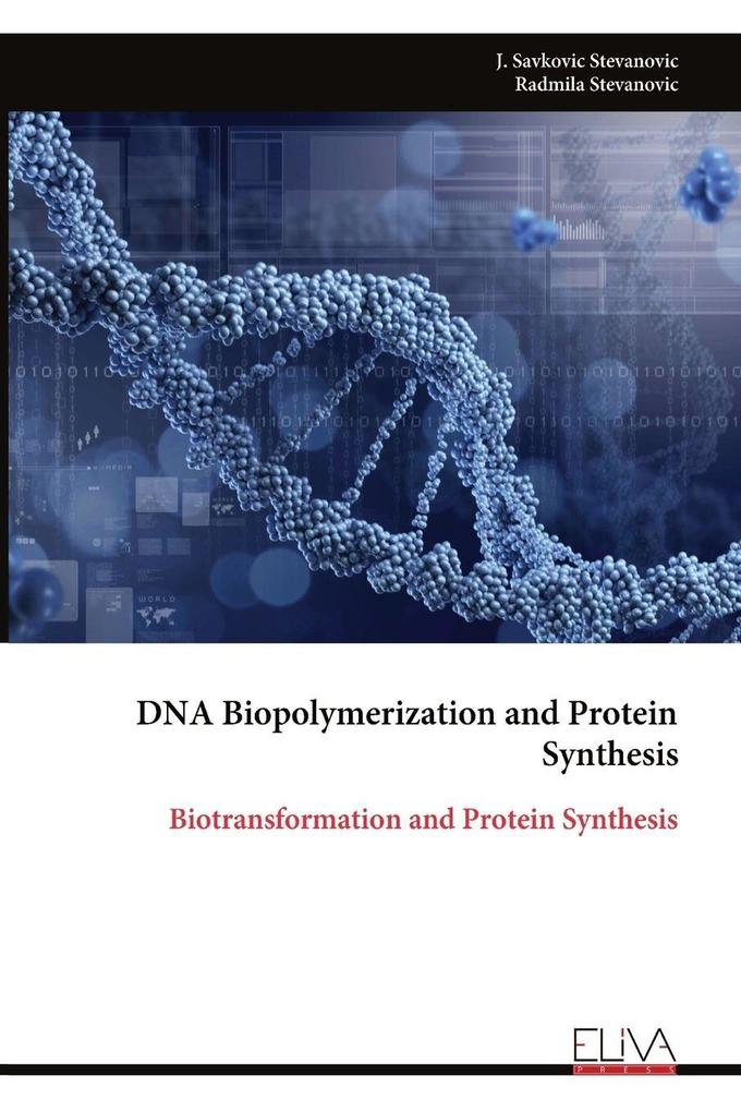 DNA Biopolymerization and Protein Synthesis
