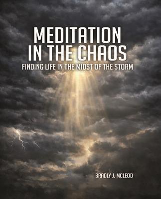 Meditation In The Chaos