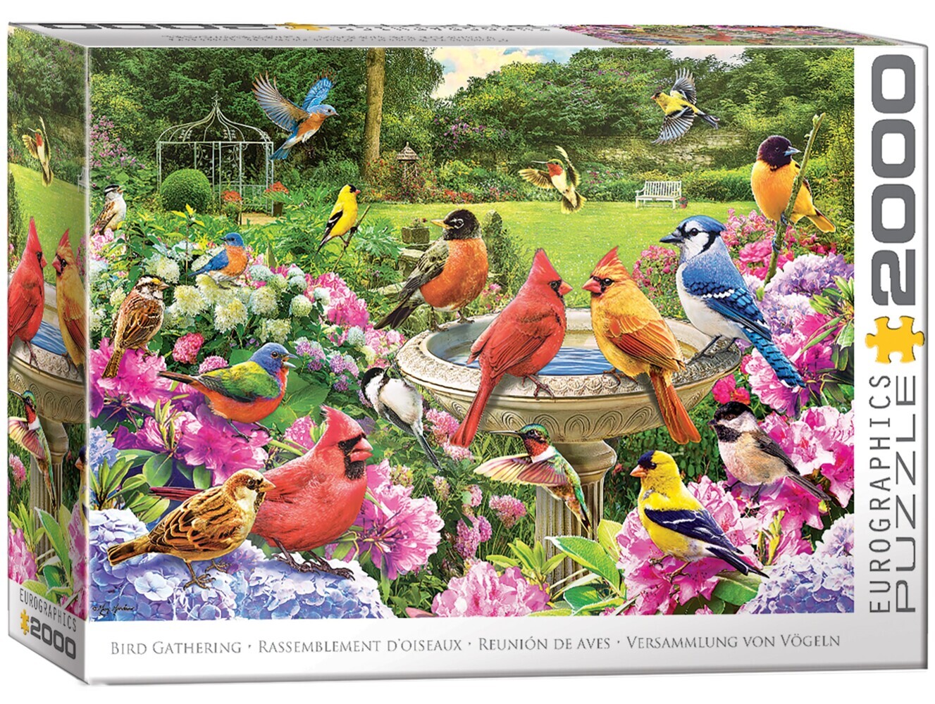Gartenvögel Treffen