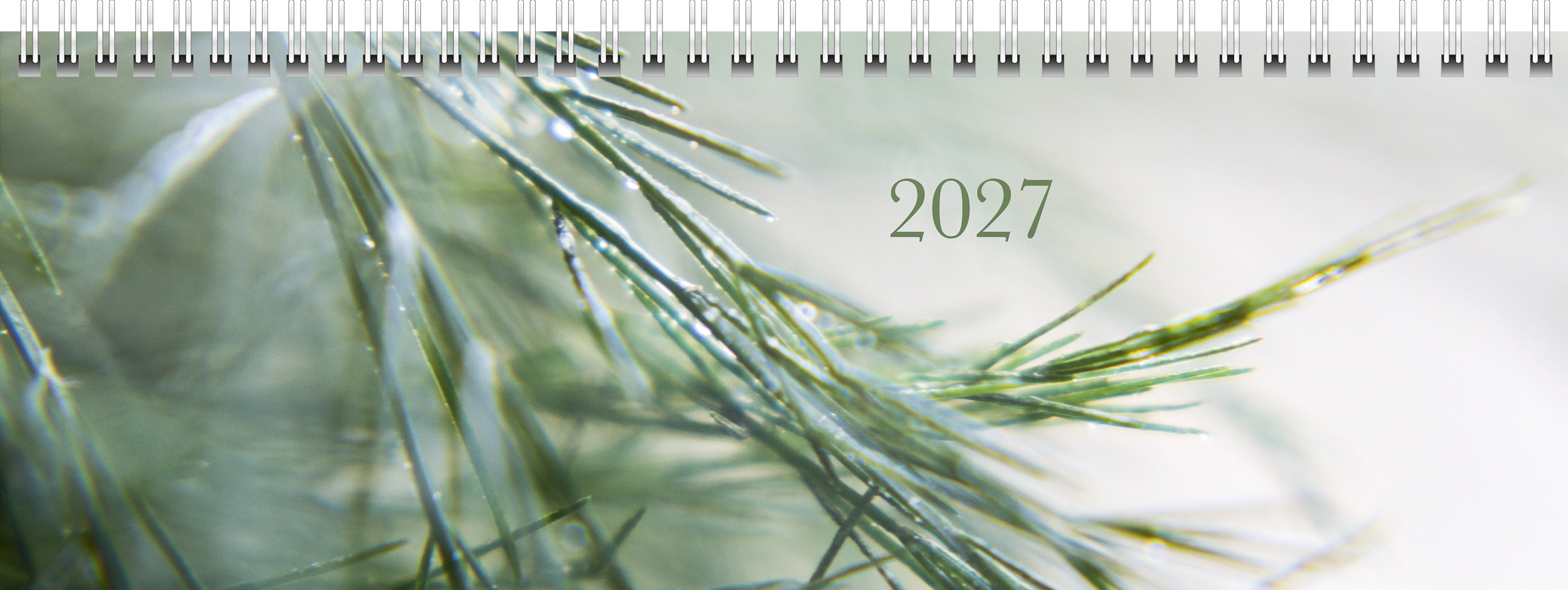 Querterminbuch Premium Young Line 2027 Greeny 297×105 mm Papier