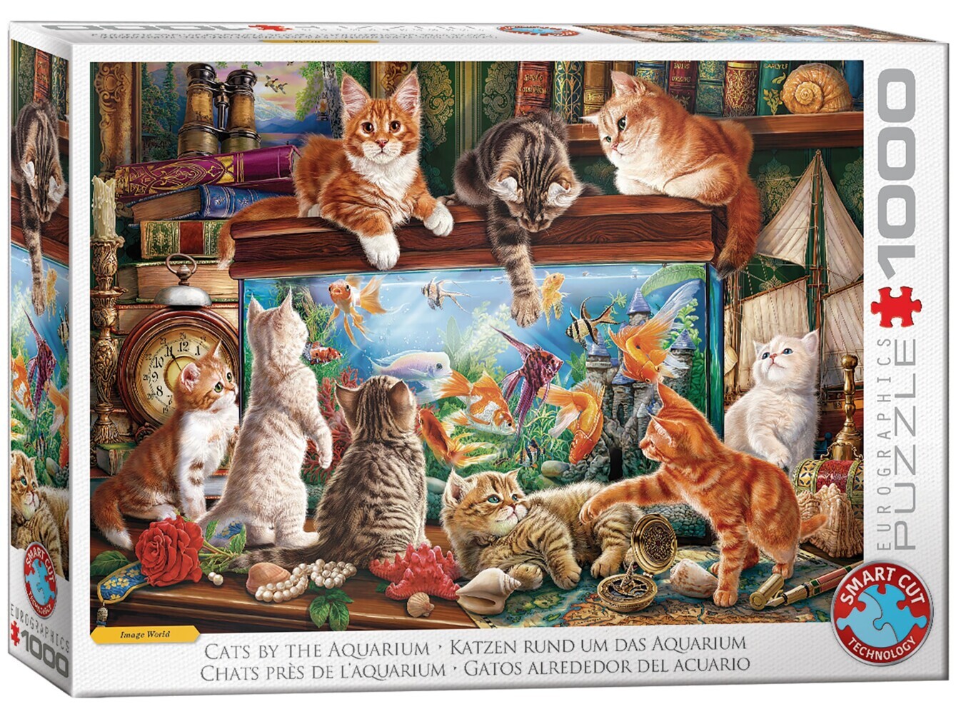Katzen am Aquarium
