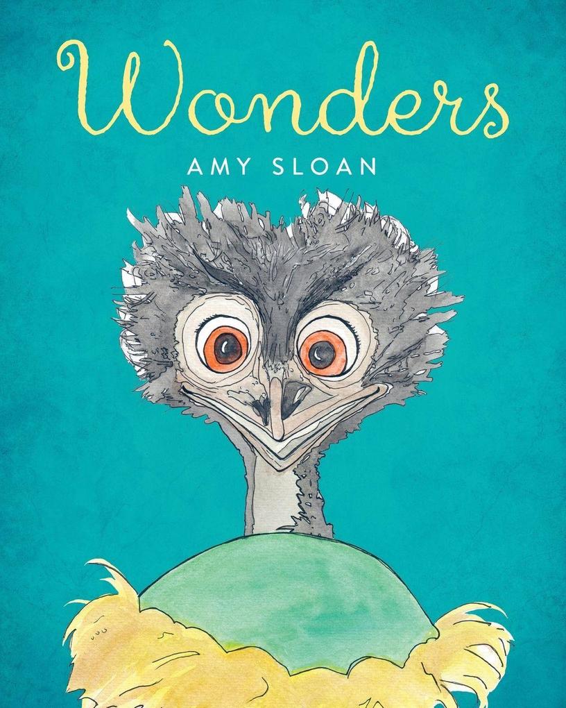 Wonders
