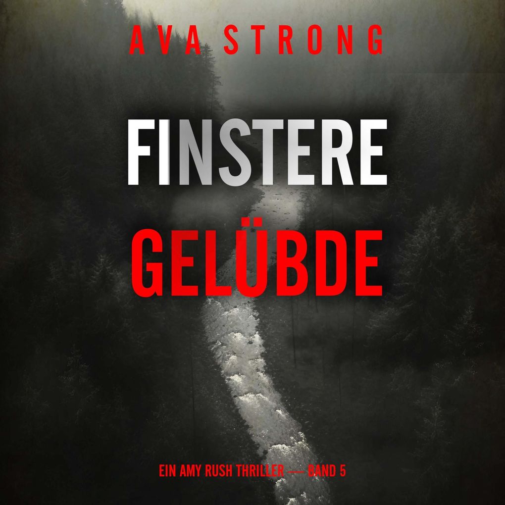 Finstere Gelübde (Ein Amy Rush Thriller Band 5)