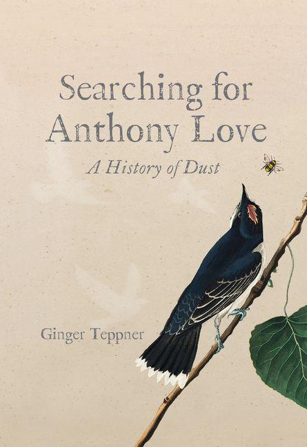 Searching for Anthony Love