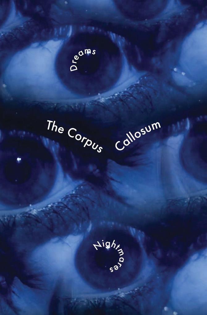 The Corpus Callosum 3.1