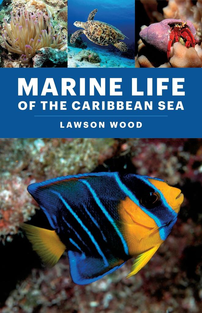 Marine Life of the Caribbean Sea