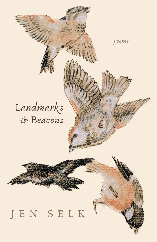 Landmarks and Beacons