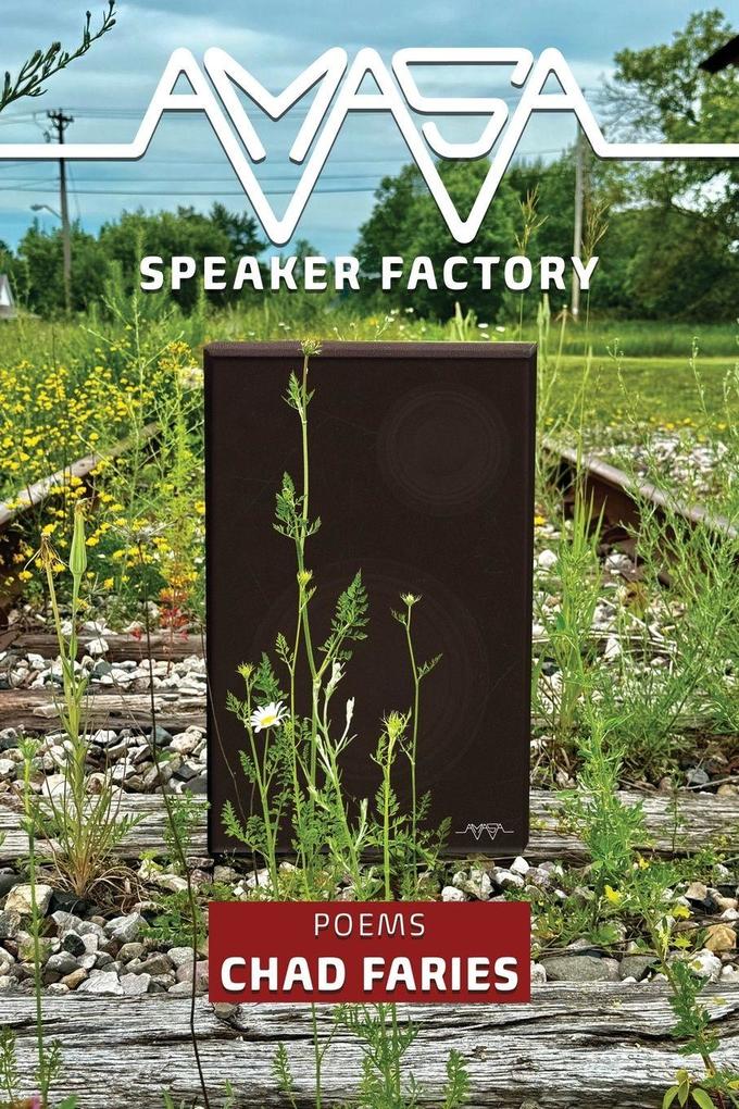 Amasa Speaker Factory
