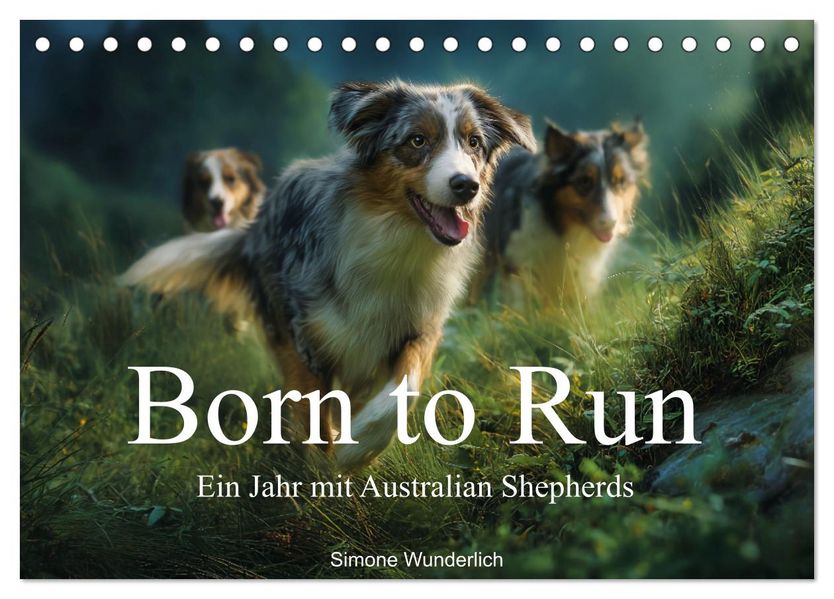 Born to run - Ein Jahr mit Australian Shepherds (Tischkalender 2027 DIN A5 quer) CALVENDO Monatskalender
