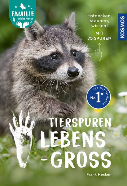 Tierspuren lebensgroß