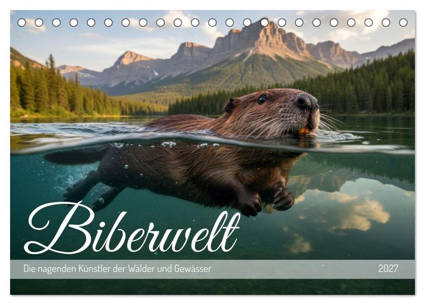 Biberwelt (Tischkalender 2027 DIN A5 quer) CALVENDO Monatskalender