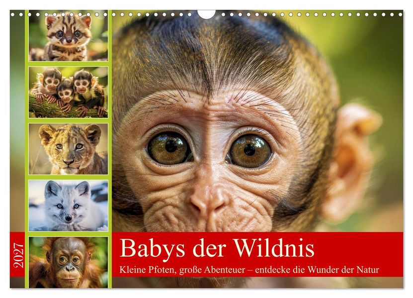 Babys der Wildnis (Wandkalender 2027 DIN A3 quer) CALVENDO Monatskalender