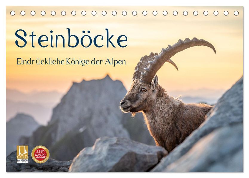 Steinböcke - Eindrückliche Könige der Alpen (Tischkalender 2027 DIN A5 quer) CALVENDO Monatskalender