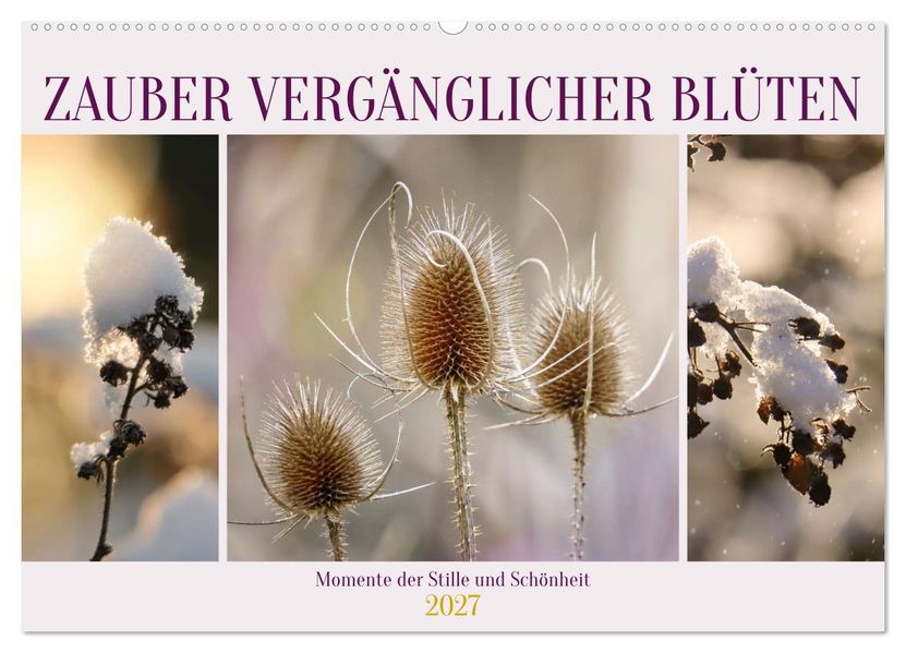 Zauber vergänglicher Blüten (Wandkalender 2027 DIN A2 quer) CALVENDO Monatskalender