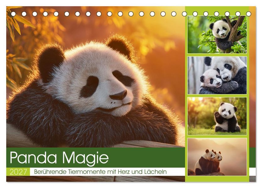 Panda Magie (Tischkalender 2027 DIN A5 quer) CALVENDO Monatskalender