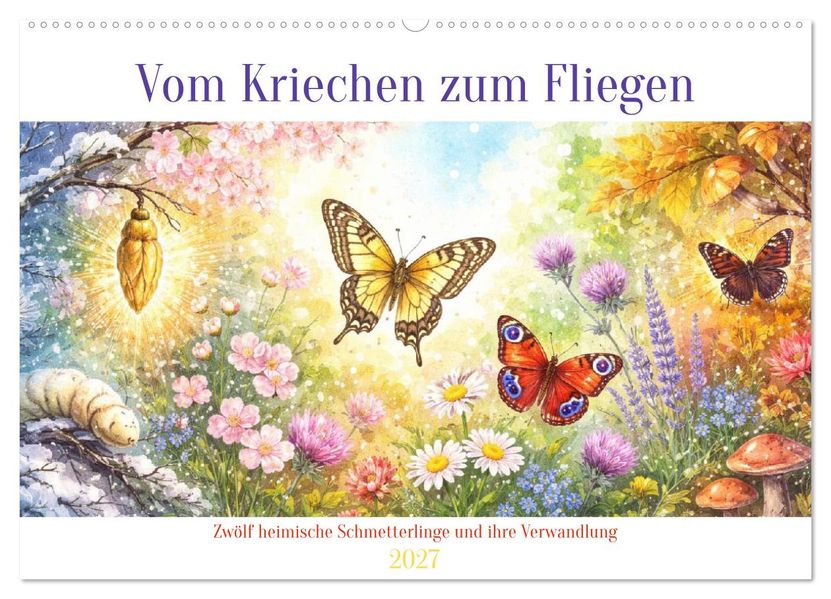 Vom Kriechen zum Fliegen (Wandkalender 2027 DIN A2 quer) CALVENDO Monatskalender