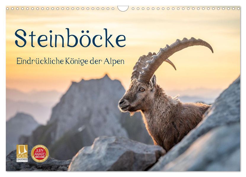 Steinböcke - Eindrückliche Könige der Alpen (Wandkalender 2027 DIN A3 quer) CALVENDO Monatskalender