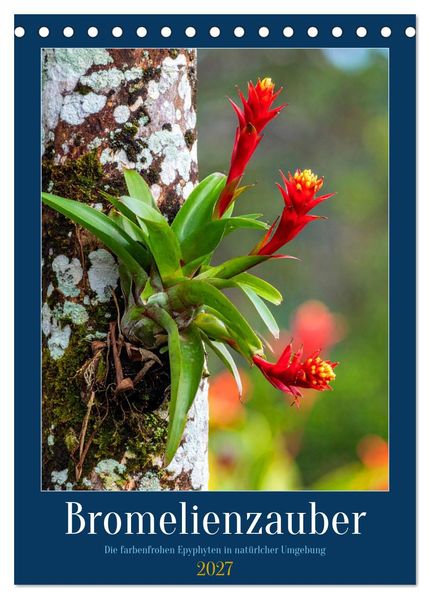 Bromelienzauber (Tischkalender 2027 DIN A5 hoch) CALVENDO Monatskalender
