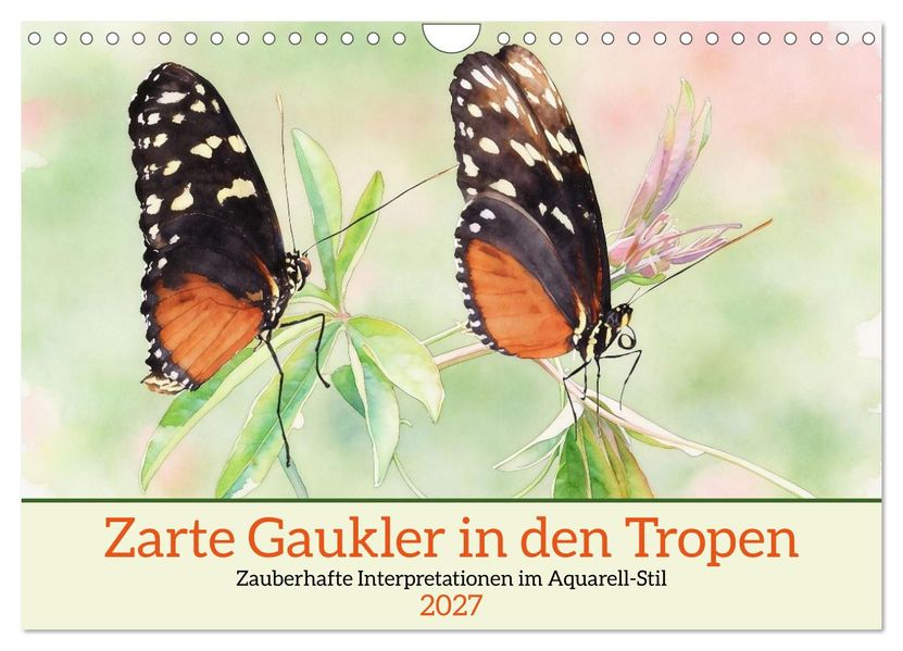 Zarte Gaukler in den Tropen (Wandkalender 2027 DIN A4 quer) CALVENDO Monatskalender