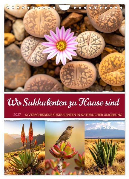 Wo Sukkulenten zu Hause sind (Wandkalender 2027 DIN A4 hoch) CALVENDO Monatskalender