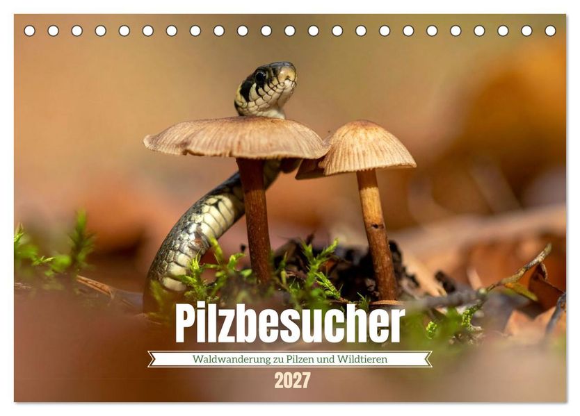 Pilzbesucher (Tischkalender 2027 DIN A5 quer) CALVENDO Monatskalender