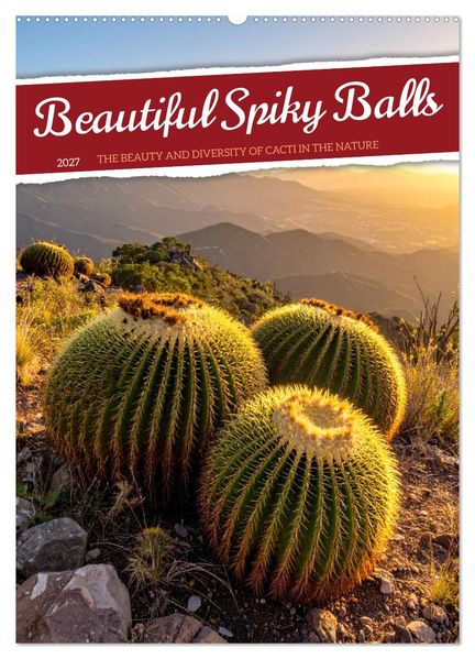 Beautiful Spiky Balls (Wall Calendar 2027 DIN A2 portrait) CALVENDO 12 Month Wall Calendar