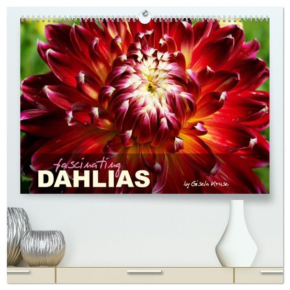 Fascinating Dahlias (High Quality Premium Wall Calendar 2027 DIN A2 landscape)CALVENDO 12 Month Wall Calendar