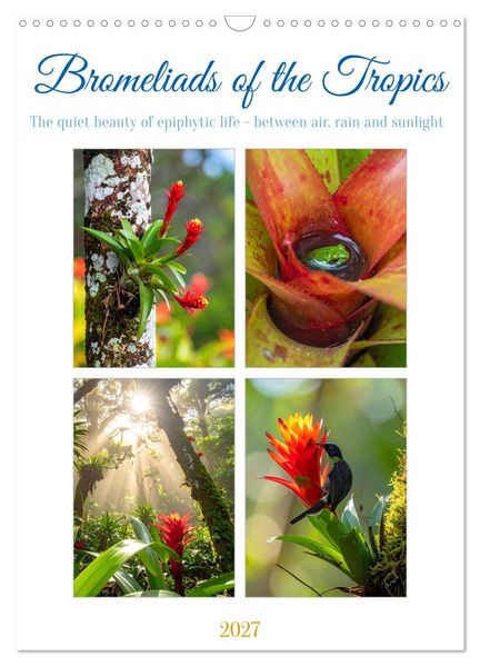 Bromeliads of the Tropics (Wall Calendar 2027 DIN A3 portrait) CALVENDO 12 Month Wall Calendar