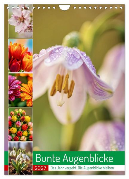 Bunte Augenblicke (Wandkalender 2027 DIN A4 hoch) CALVENDO Monatskalender