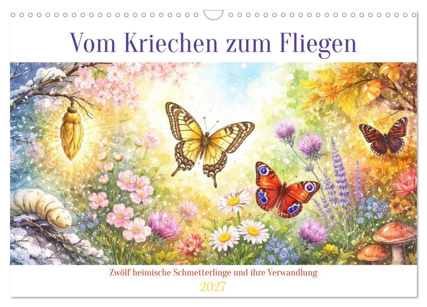 Vom Kriechen zum Fliegen (Wandkalender 2027 DIN A3 quer) CALVENDO Monatskalender