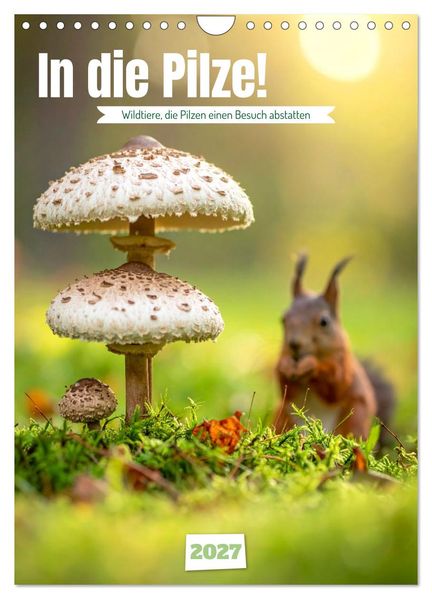In die Pilze (Wandkalender 2027 DIN A4 hoch) CALVENDO Monatskalender