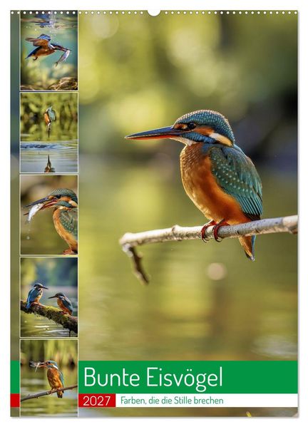 Bunte Eisvögel (Wandkalender 2027 DIN A2 hoch) CALVENDO Monatskalender