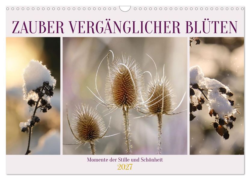 Zauber vergänglicher Blüten (Wandkalender 2027 DIN A3 quer) CALVENDO Monatskalender