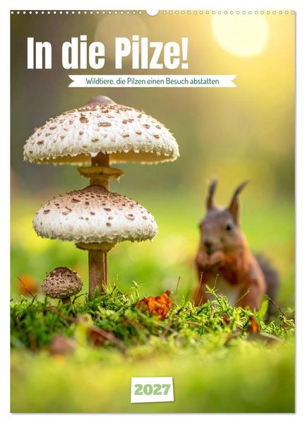 In die Pilze (Wandkalender 2027 DIN A2 hoch) CALVENDO Monatskalender