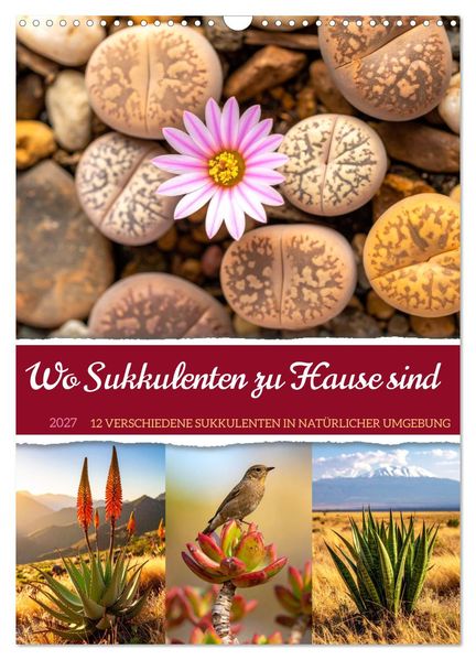 Wo Sukkulenten zu Hause sind (Wandkalender 2027 DIN A3 hoch) CALVENDO Monatskalender