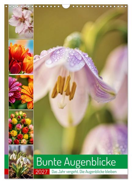 Bunte Augenblicke (Wandkalender 2027 DIN A3 hoch) CALVENDO Monatskalender