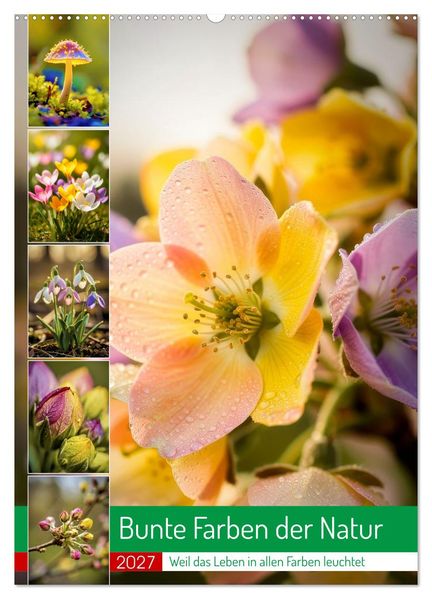 Bunte Farben der Natur (Wandkalender 2027 DIN A2 hoch) CALVENDO Monatskalender