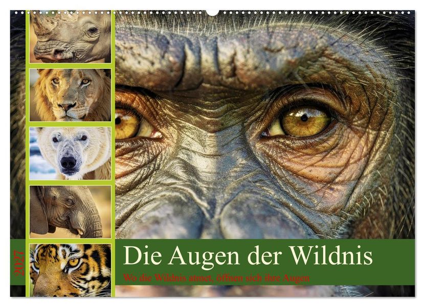 Die Augen der Wildnis (Wandkalender 2027 DIN A2 quer) CALVENDO Monatskalender